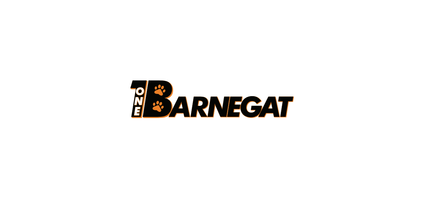 One Barnegat logo