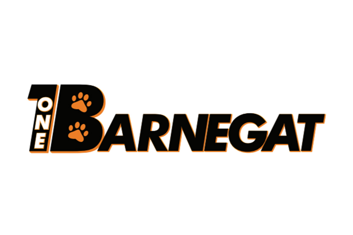 Logo for One Barnegat School District